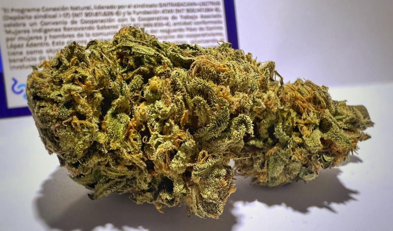 Passion Fruit