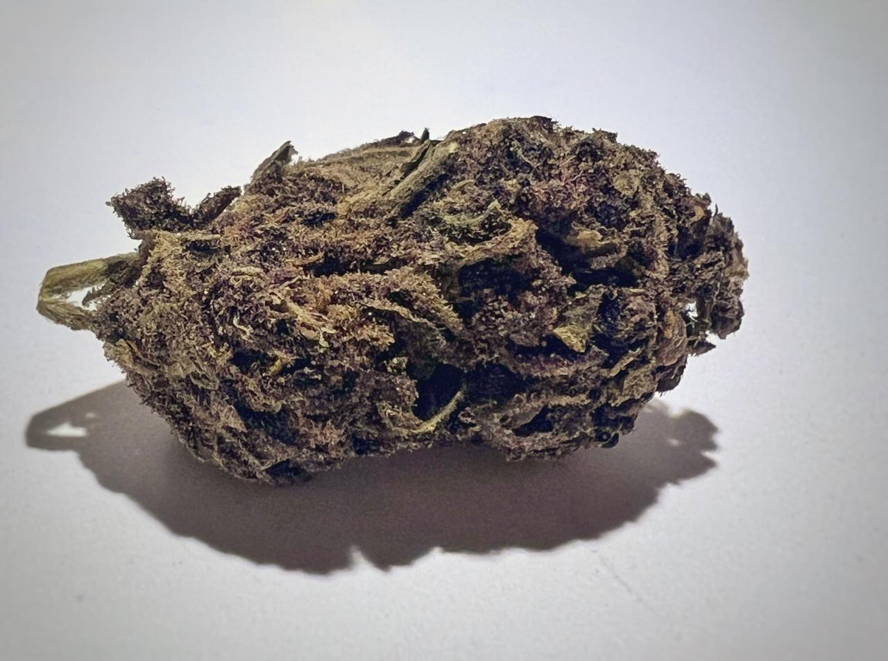 Tutti Frutti